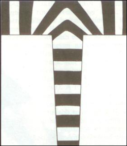 A képen a zebra irhájának szimulációs modelljének eredménye látható.